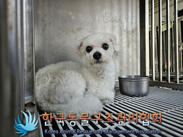 한국동물구조관리협회_411318202400436